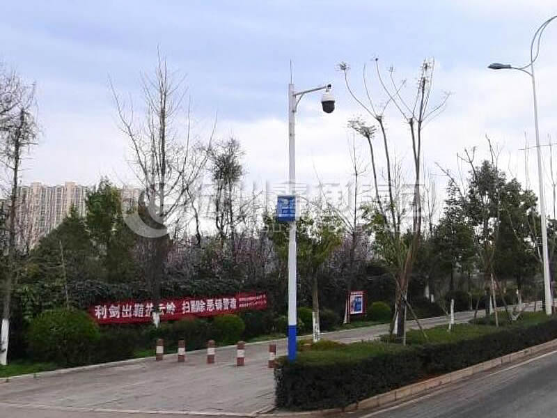 DJG-025，電子警察桿，治安監(jiān)控桿